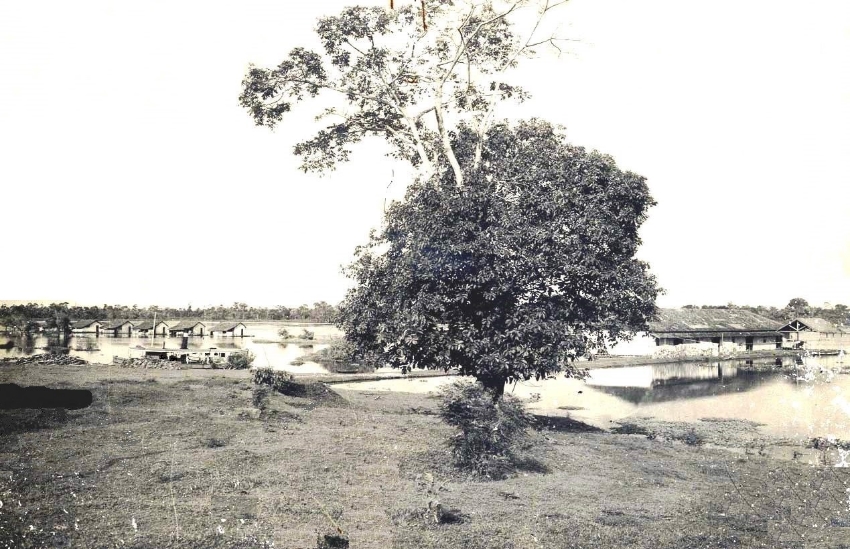 Vila amazônia